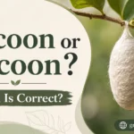 Cacoon or Cocoon