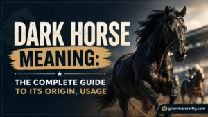Dark Horse Meaning: The Complete Guide to Its Origin, Usage