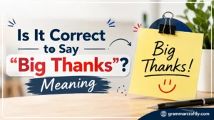Is It Correct to Say "Big Thanks"? Meaning